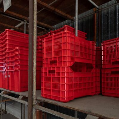 Casse plastica ortofrutta